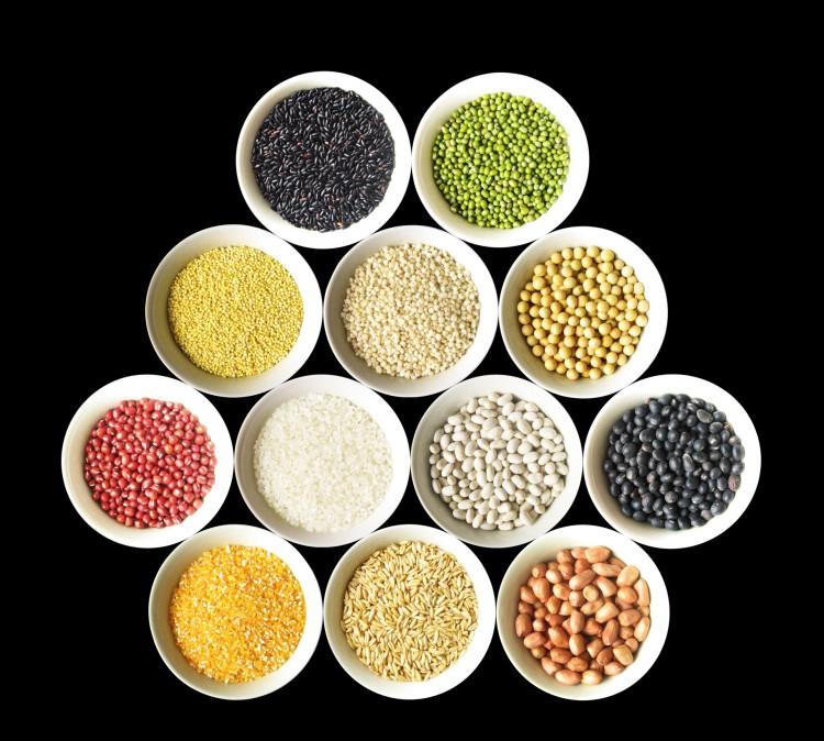 Modern Civilization, Modern People, and Modern Diseases (Part II)