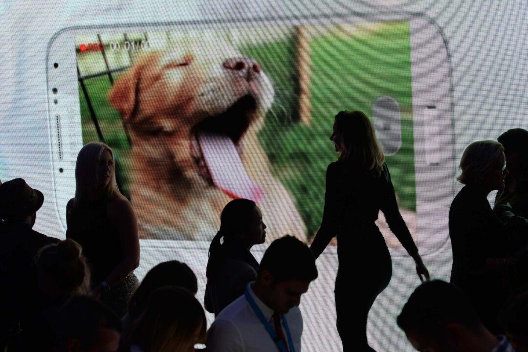 EU to Google: Stop Litigating and Start Innovating