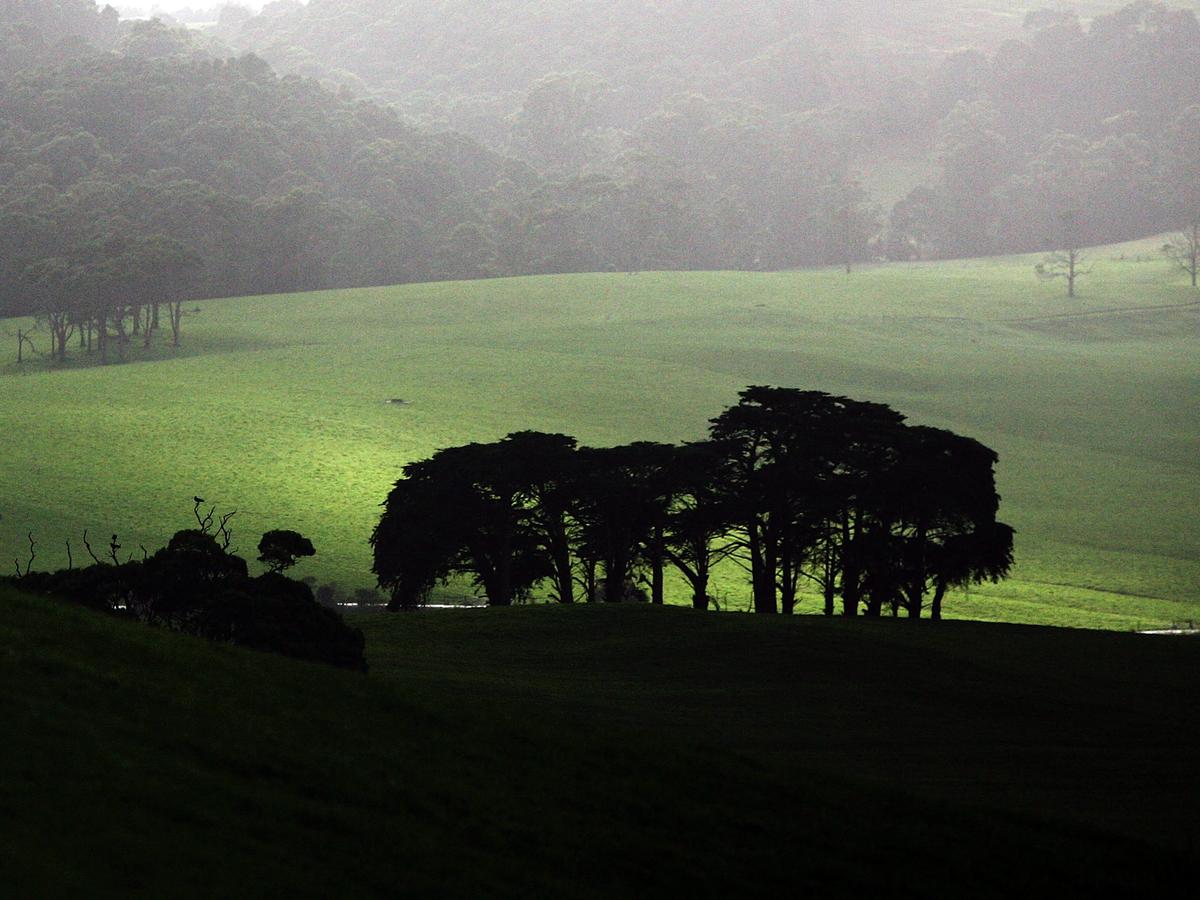 Australian Farmers to Earn Money From Planting Trees