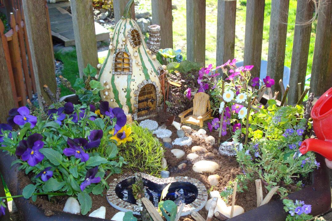 Making a Charming Miniature Fairy Garden