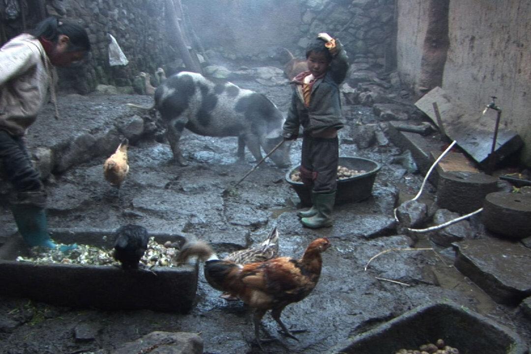 Movie review: ‘Three Sisters’