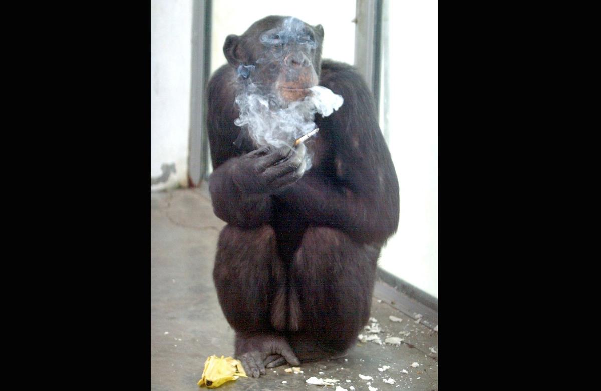 10 of the Craziest Facts Out There, Part 1