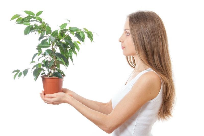 Your Houseplants Can Think, Talk, Read Your Mind (Part 2)