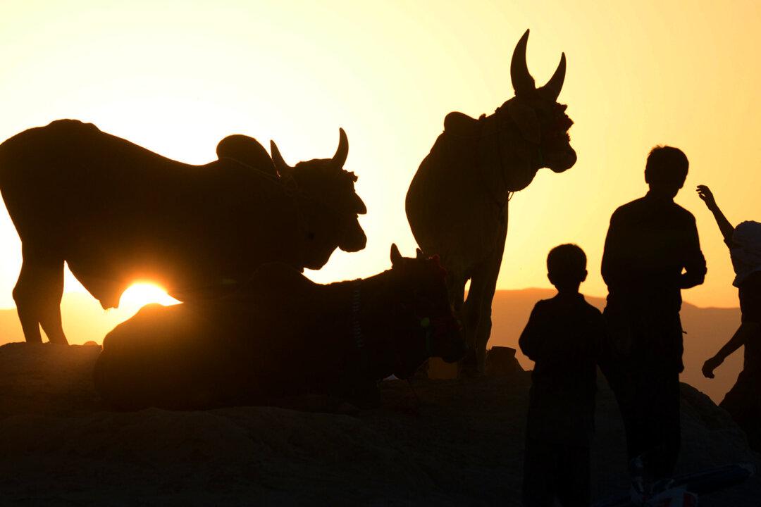 Afghan Government Considering New Eid Ceasefire Offer