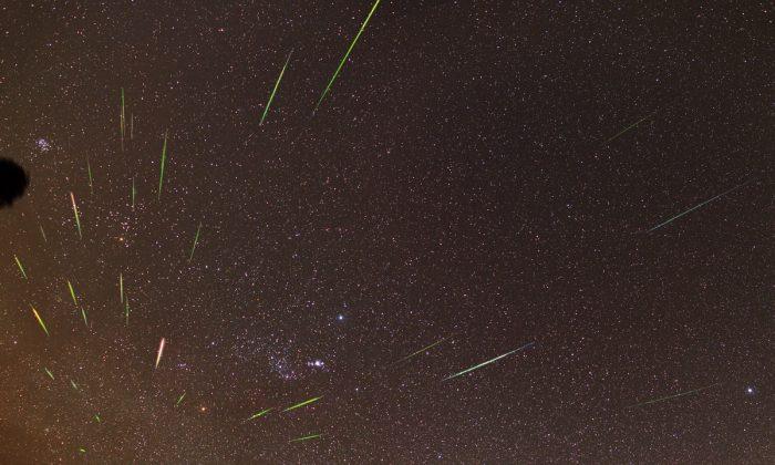 WATCH: One of the Year’s Best Meteor Showers, Thanks to Halley’s Comet