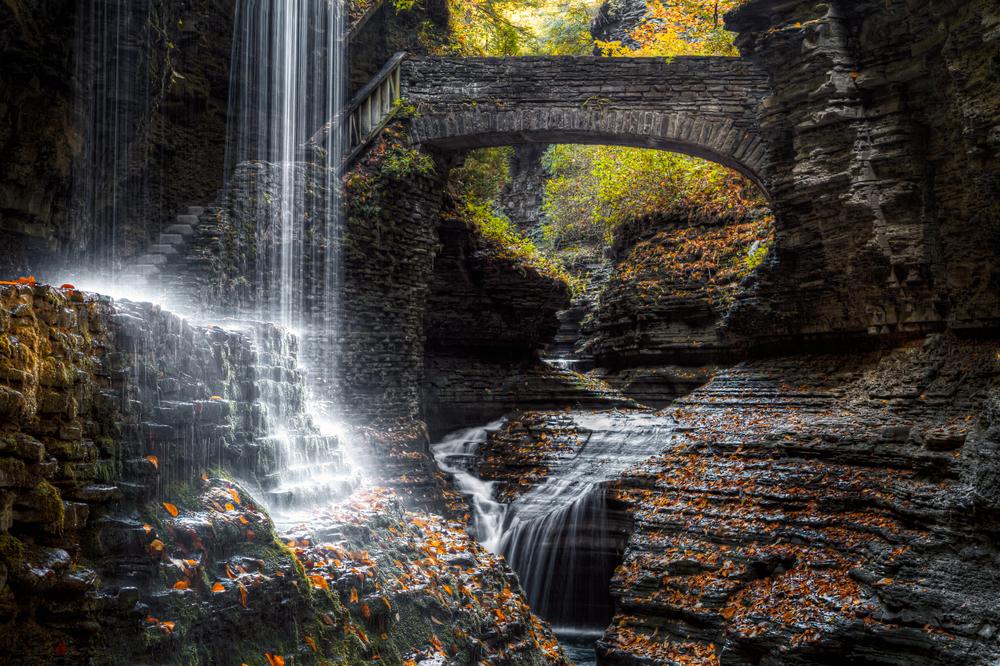 Gorges State Park in North Carolina – the Beauty in Ugly
