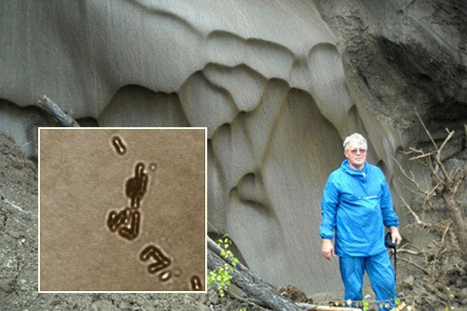 Russian Scientists Make Progress on Secret of Eternal Life