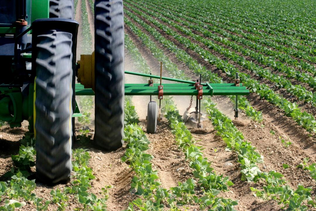For Organic Farms, Tillage Is a Double-Edged Sword