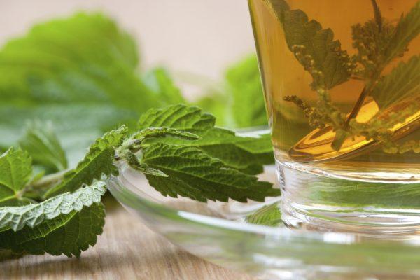 Drink a moderate amount of kidney and bladder supporting teas (manuel_adorf/iStock)