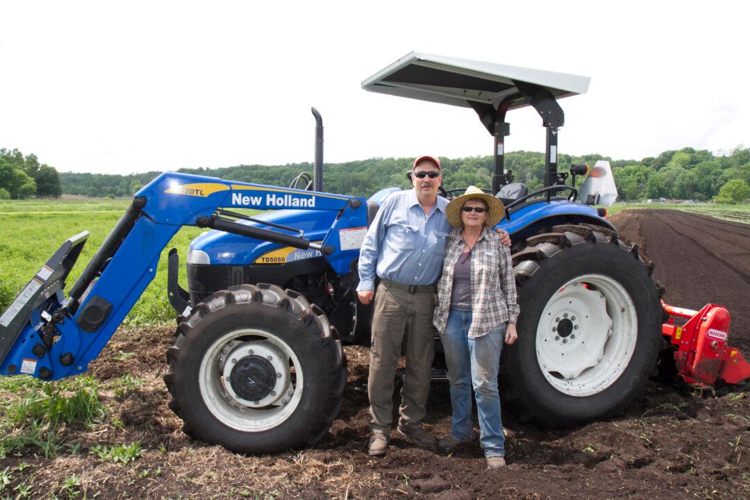 Wallkill Organic Farmer Aims High, Grows for Amy’s