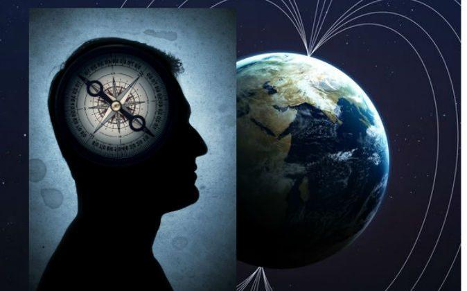 Sixth Sense May Help Us With Direction: Sensing Earth’s Magnetic Fields