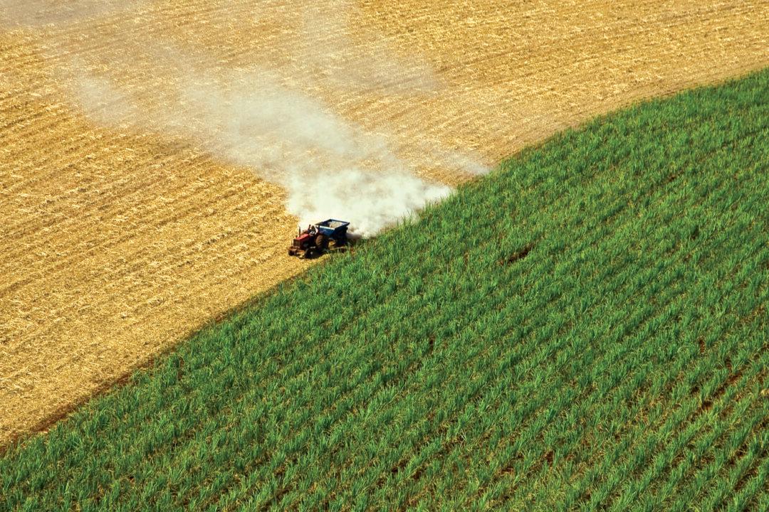 Will Growing Our Fuels Drive Us to a Cleaner Future?