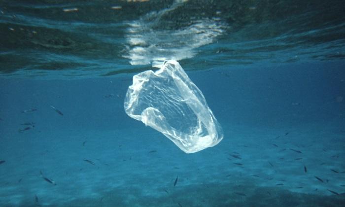 Glad Bags Manufacturer Accused of Greenwashing Via Ocean Plastic Claims