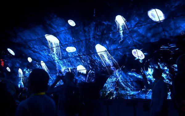Attendees view a display of underwater footage from a ceiling filled with curved and flat 4K OLED TV's by LG at the 2017 Consumer Electronic Show in Las Vegas, Nevada on Jan. 7, 2017. (Frederic J. Brown/AFP/Getty Images)
