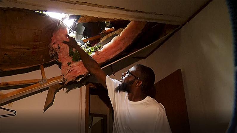 Michael White examines the hole left in the roof by the downed tree. (AP screenshot)