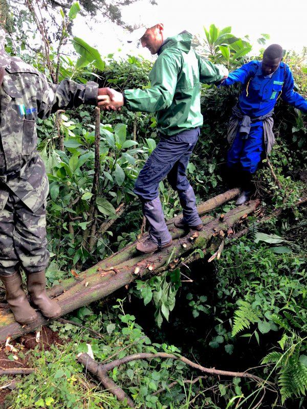 Our machete-wielding trackers cut down four saplings and joined them together over the ravine, creating an impromptu bridge for us to get across and reach the dense rainforest canopy. (Giannella M. Garrett)