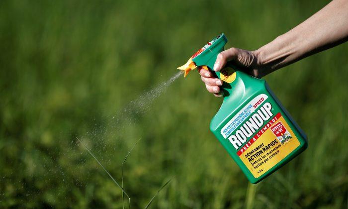 How the EPA Whitewashed the Safety Label of the Most Widely Used Herbicide in the World