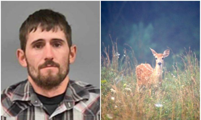Deer Poacher Ordered to Repeatedly Watch ‘Bambi’ in Jail