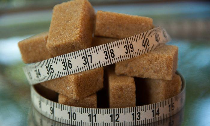 Sugar-Ban Mania and Worldwide Obesity