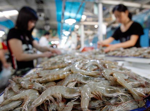 Shrimp in a wet market in Beijing, China. (Teh Eng Koon/AFP/Getty Images)
