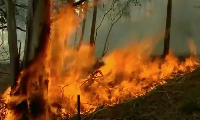 Bushfire That Threatened Homes Deliberately Lit in Tasmania