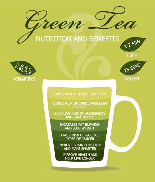 Nutrition and Benefits of Green Tea (Vectorstockerr/Shutterstock)
