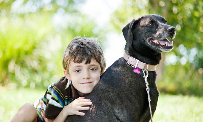 7-Year-Old Diabetic Boy’s Sugar Dropped Dangerously Low, but Loyal Service Dog Saved His Life