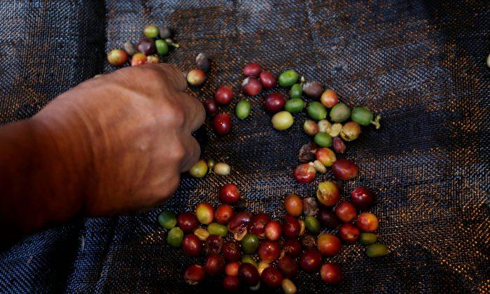 Colombian Proposal to Ditch NY Coffee Price May Send Buyers Elsewhere