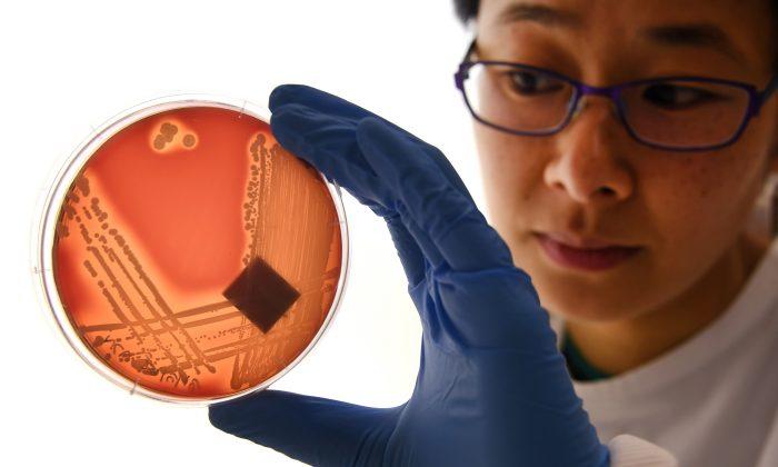 Shining Light on New Treatment for Antibiotic Resistant Superbugs