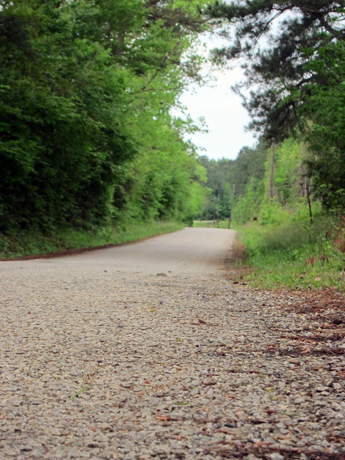 A section of Huff Creek Road, where James Byrd Jr. was dragged to death by three white men in Jasper, Texas, photo taken on April 12, 2019. (Juan Lozano/AP)