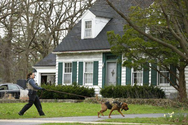 A blood hound K-9 officer and his handler sniffs the ground in front of the home of 5-year-old Andrew "AJ" Freund in Crystal Lake, Ill on April 18, 2019. (Stacey Wescott/Chicago Tribune via AP)