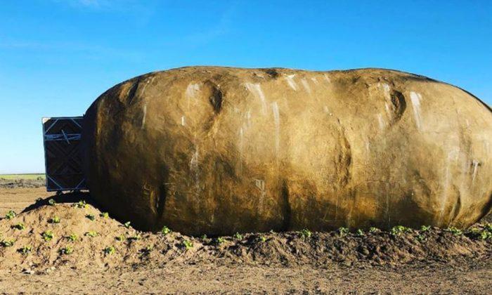 Giant Idaho Potato Turned Into an Airbnb for $200 per Night