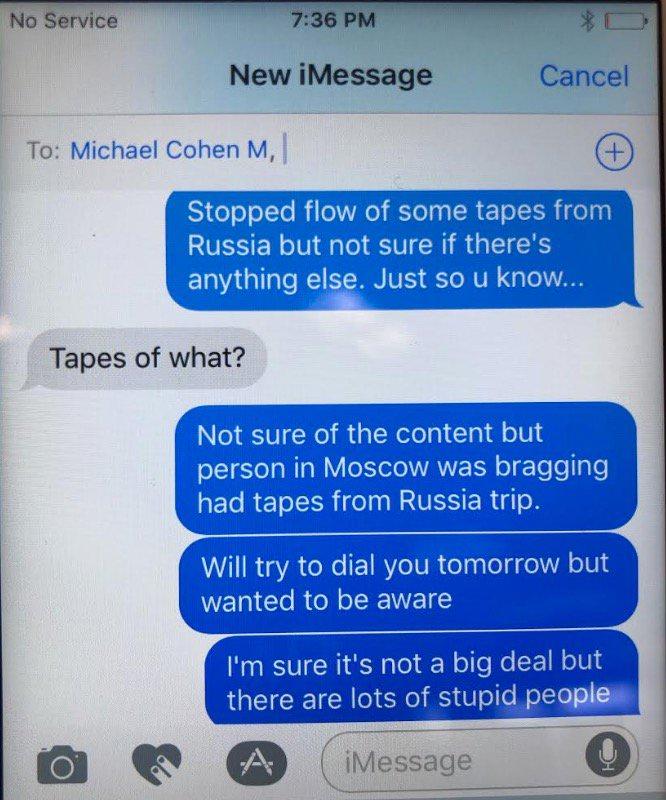 Giorgi Rtskhiladze text messages with Michael Cohen are pictured, on Oct. 30, 2016. (Courtesy of Melanie Bonvicino)