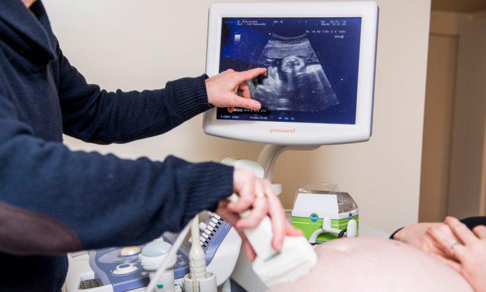 Tennessee Gov. Introduces New Bill Banning Abortions Where Fetal Heartbeat Is Detected
