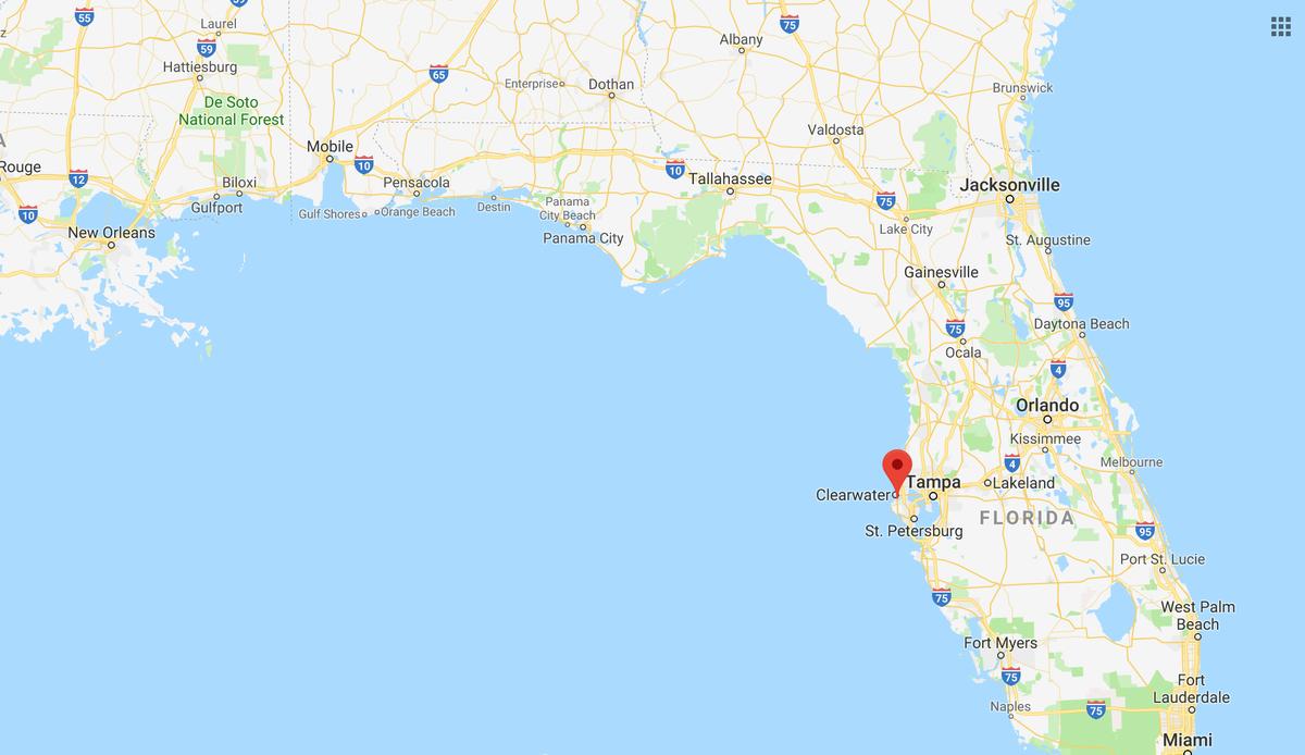 Pinellas County, Florida (Screenshot/Googlemaps)