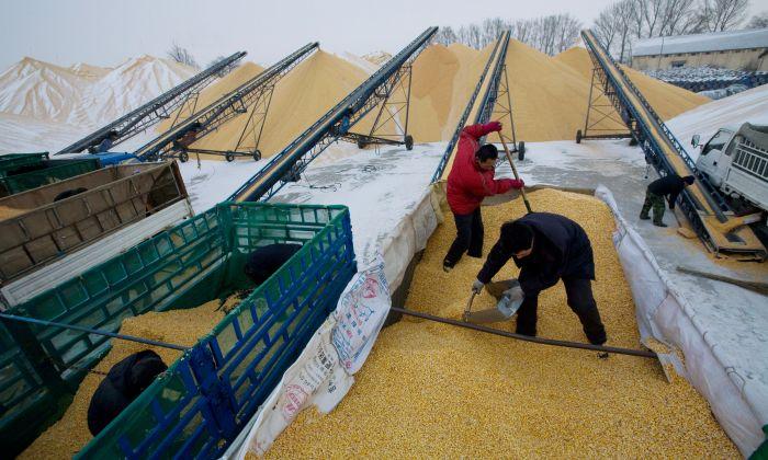 Facing Uncertainty With US, China Checks Grain Reserves to Ensure Enough Domestic Supply