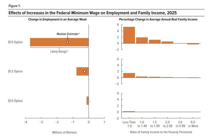 The Congressional Budget Office estimated that up to 3.7 million jobs would be destroyed by raising the federal minimum wage to $15 an hour. (Congressional Budget Office)