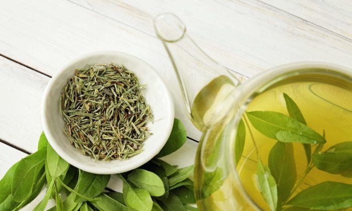 Green Tea, the Basics and the Science