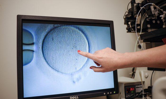 Prevalence of IVF Could Create Genetic Haves and Have Nots: AMA