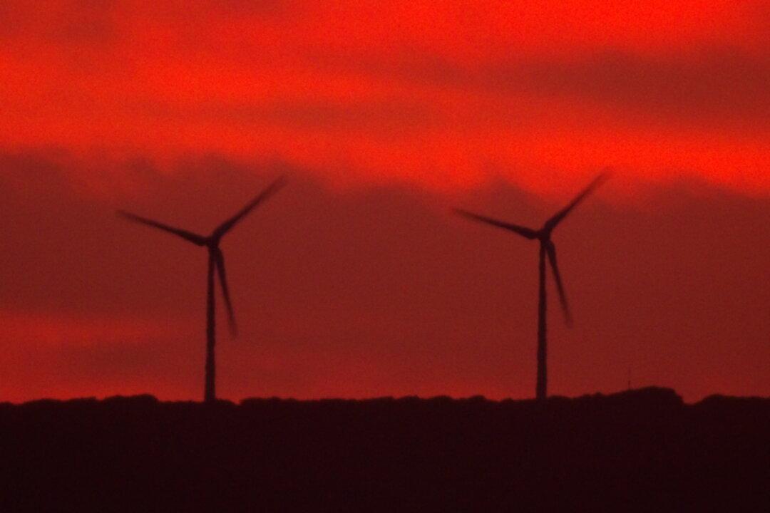 Queensland Introduces ‘Code of Conduct’ for Renewable Energy Social Licence