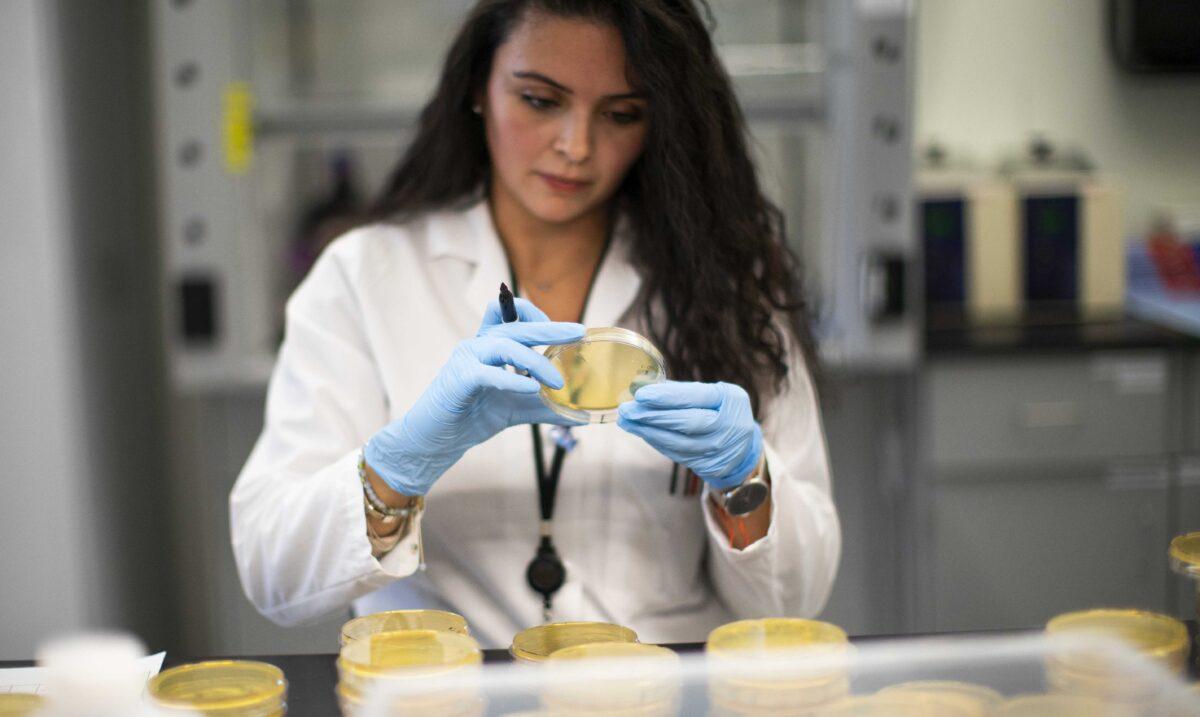 A researcher works in a lab that is developing testing for the COVID-19 coronavirus at Hackensack Meridian Health Center for Discovery and Innovation in Nutley, N.J., on Feb. 28, 2020. (Kena Betancur/Getty Images)