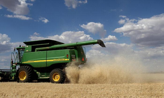 China’s Australian Barley Tariff Has ‘No Basis’: Graincorp CEO