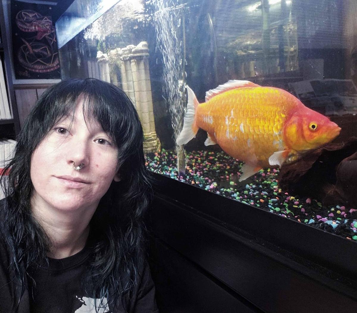 Gerald the goldfish appeared to be a standard-size goldfish when Alexandria Miller, 28, won him in July 2018. (Caters News)