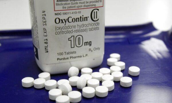 OxyContin pills are arranged for a photo at a pharmacy in Montpelier, Vt., on Feb. 19, 2013. (Toby Talbot/AP Photo)