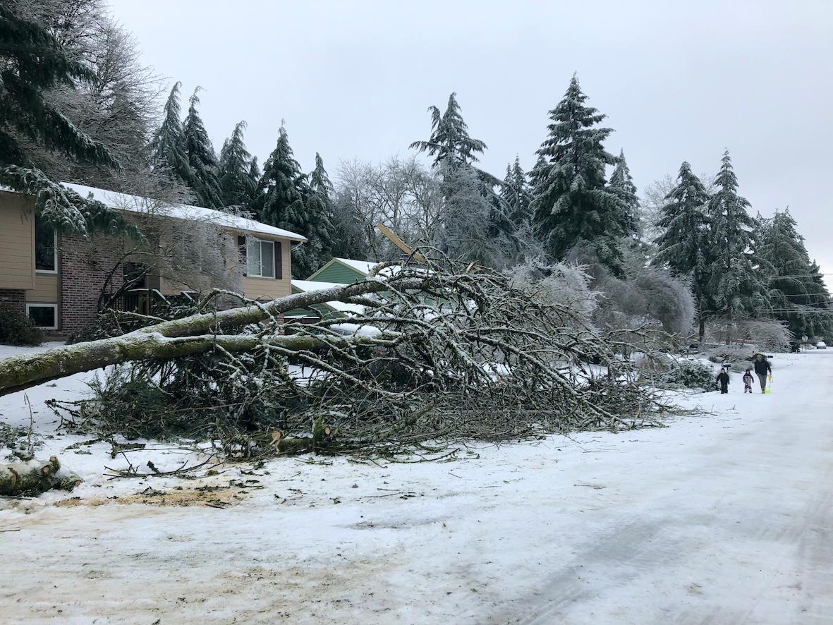 Hundreds of Thousands Without Power in Northwest Ice Storm