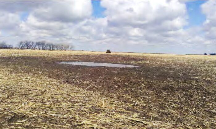 Farmers Sue Over Federal Regulation of ‘Mud Puddle’ on Their Land