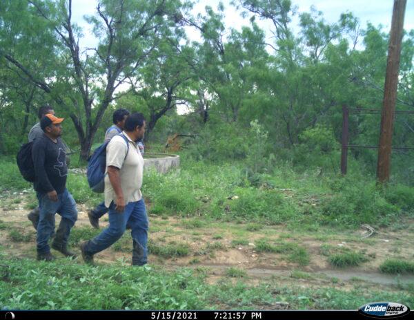 Illegal immigrants are captured on a game camera as they traverse Cole Hill’s ranch in Kinney County, Texas. (Courtesy of Cole Hill)