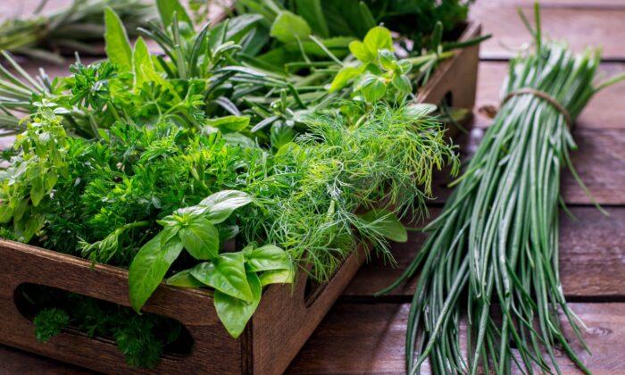 Summer Vacation Is Almost Here, and It’s Time for Fresh Garden Herbs