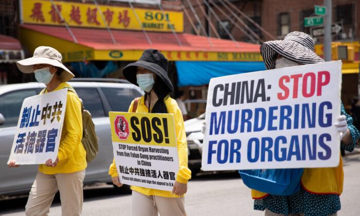 China’s Organ Harvesting Crimes to Come Under Focus on Human Rights Day