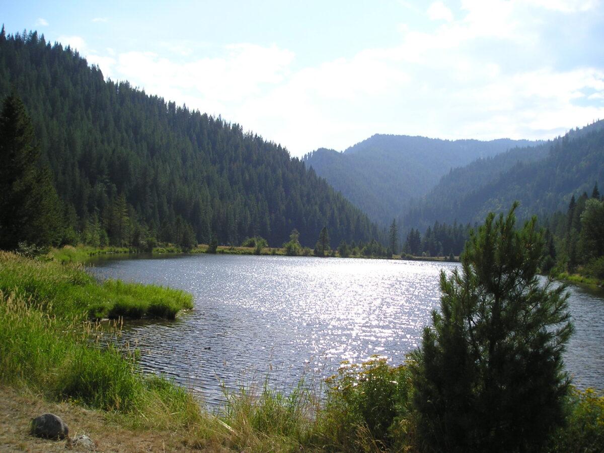 Cold Springs Pond in Idaho's Clearwater National Forest on Aug. 14, 2003. (Forest Service Northern Region)